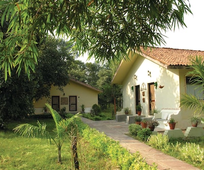 Bandhavgarh Jungle Lodge